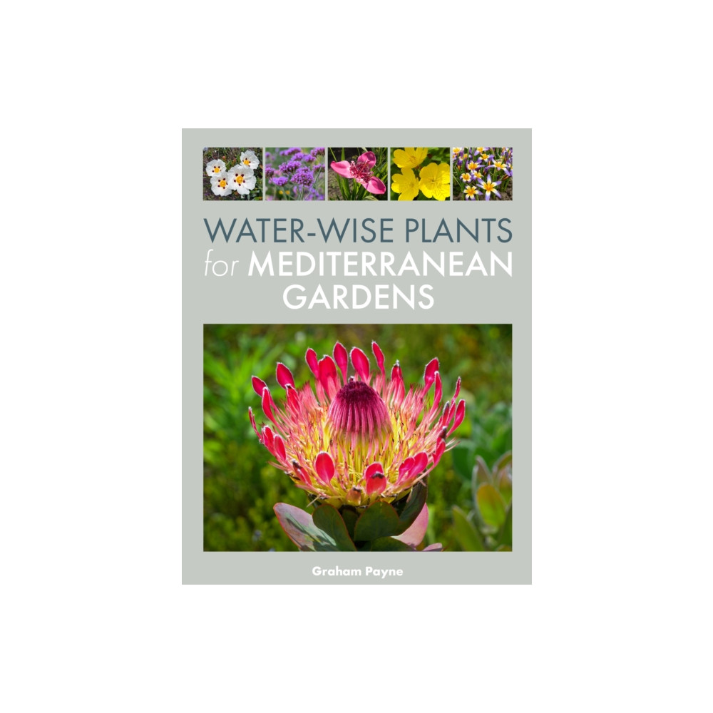 Produktbild för Water-Wise Plants for Mediterranean Gardens (inbunden, eng)