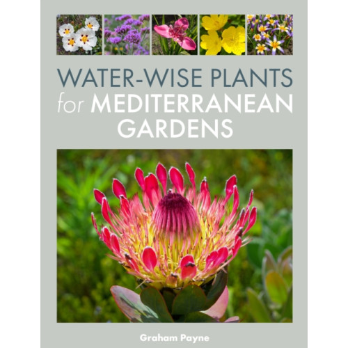 The Crowood Press Ltd Water-Wise Plants for Mediterranean Gardens (inbunden, eng)