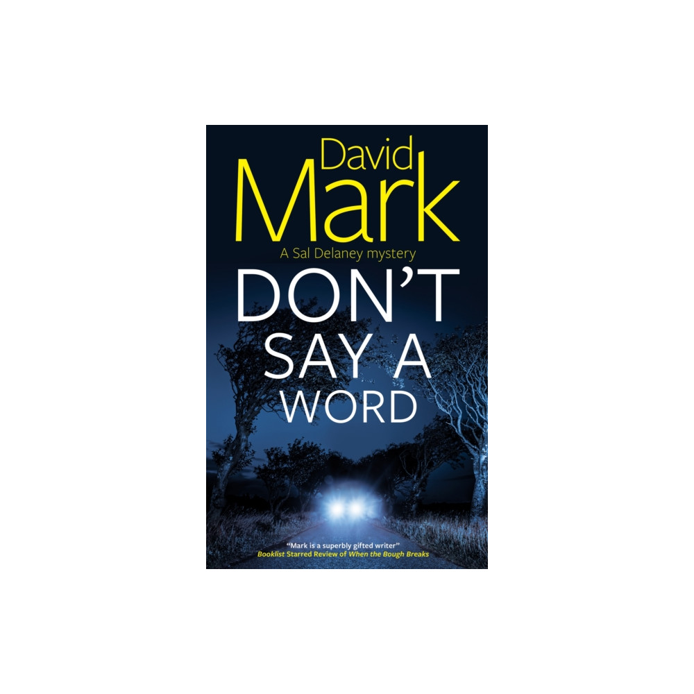 Produktbild för Don't Say a Word (häftad, eng)