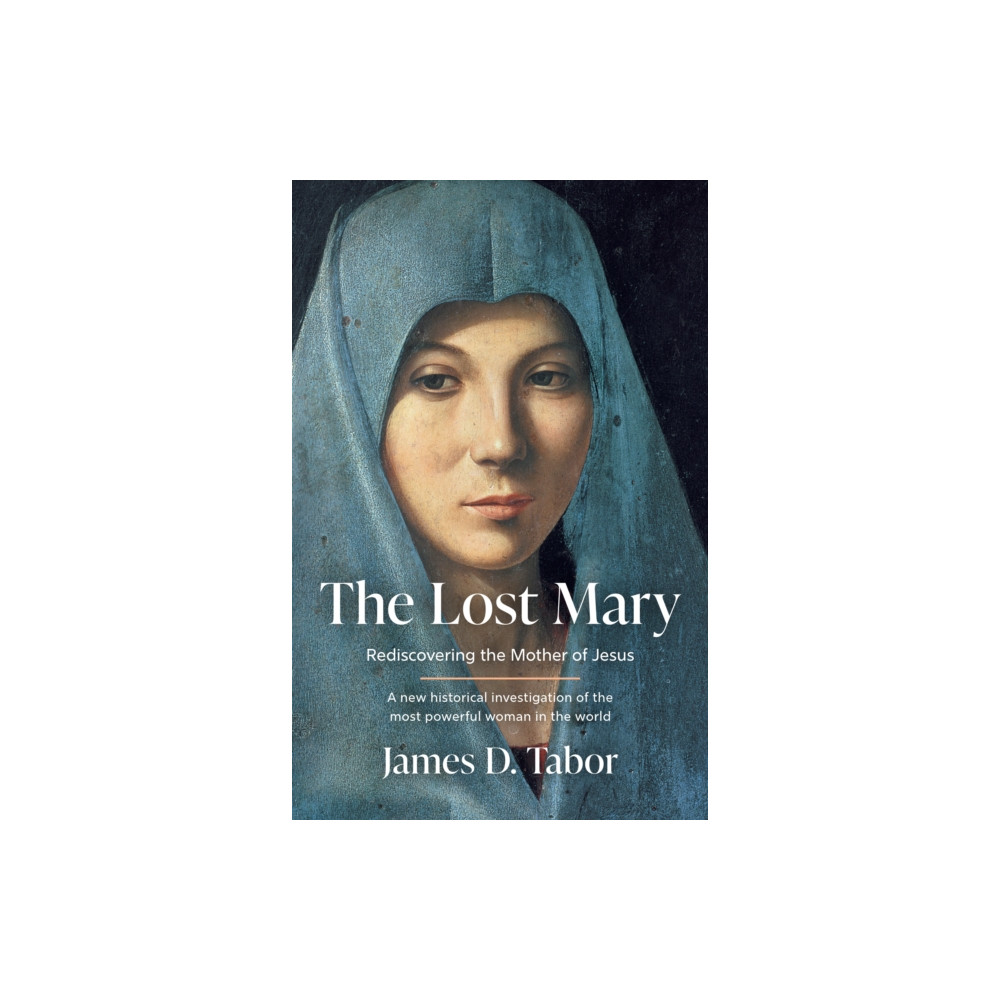 Produktbild för The Lost Mary (inbunden, eng)