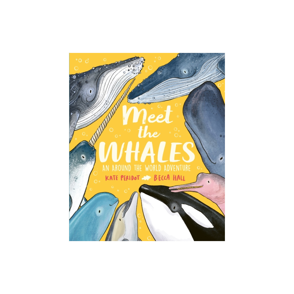 Produktbild för Meet the Whales (inbunden, eng)