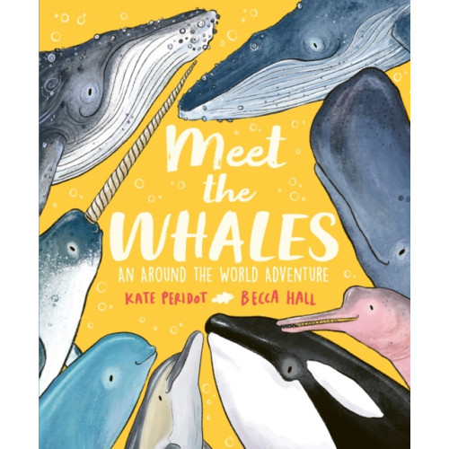 Hachette Children's Group Meet the Whales (inbunden, eng)