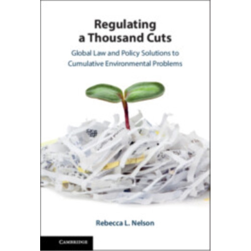 Cambridge University Press Regulating a Thousand Cuts (inbunden, eng)