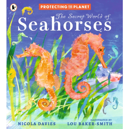Walker Books Ltd Protecting the Planet: The Secret World of Seahorses (häftad, eng)