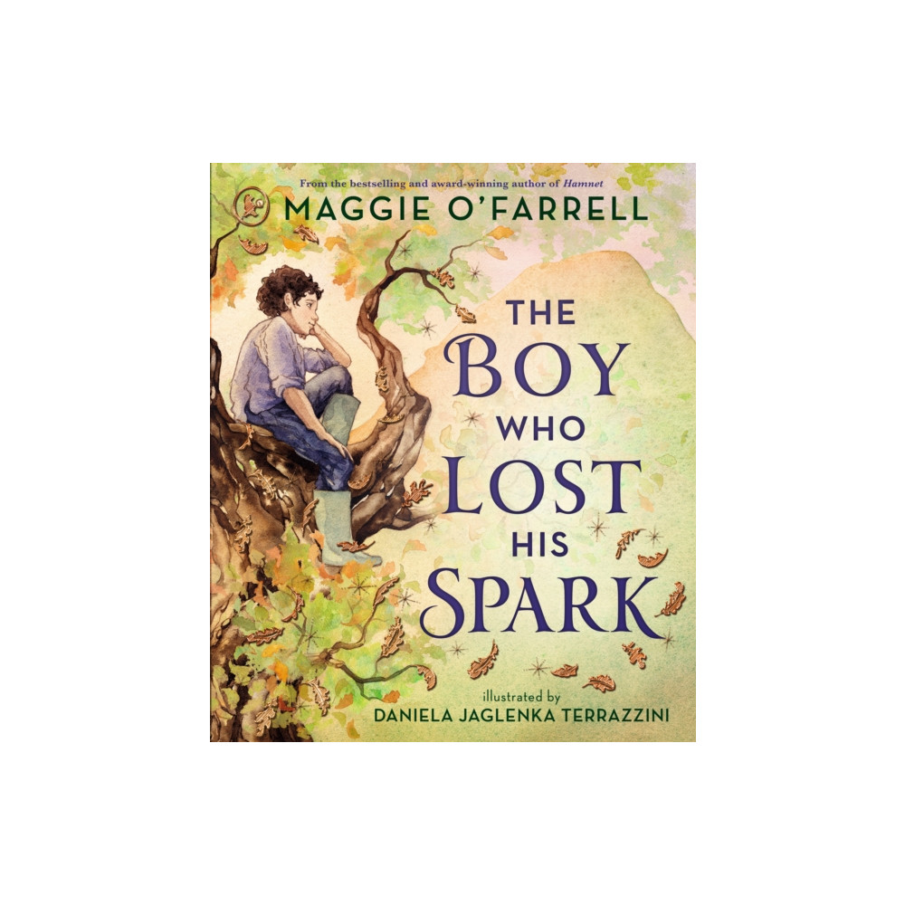 Produktbild för The Boy Who Lost His Spark (häftad, eng)