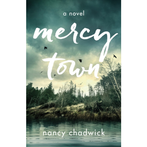 She Writes Press Mercy Town (häftad, eng)