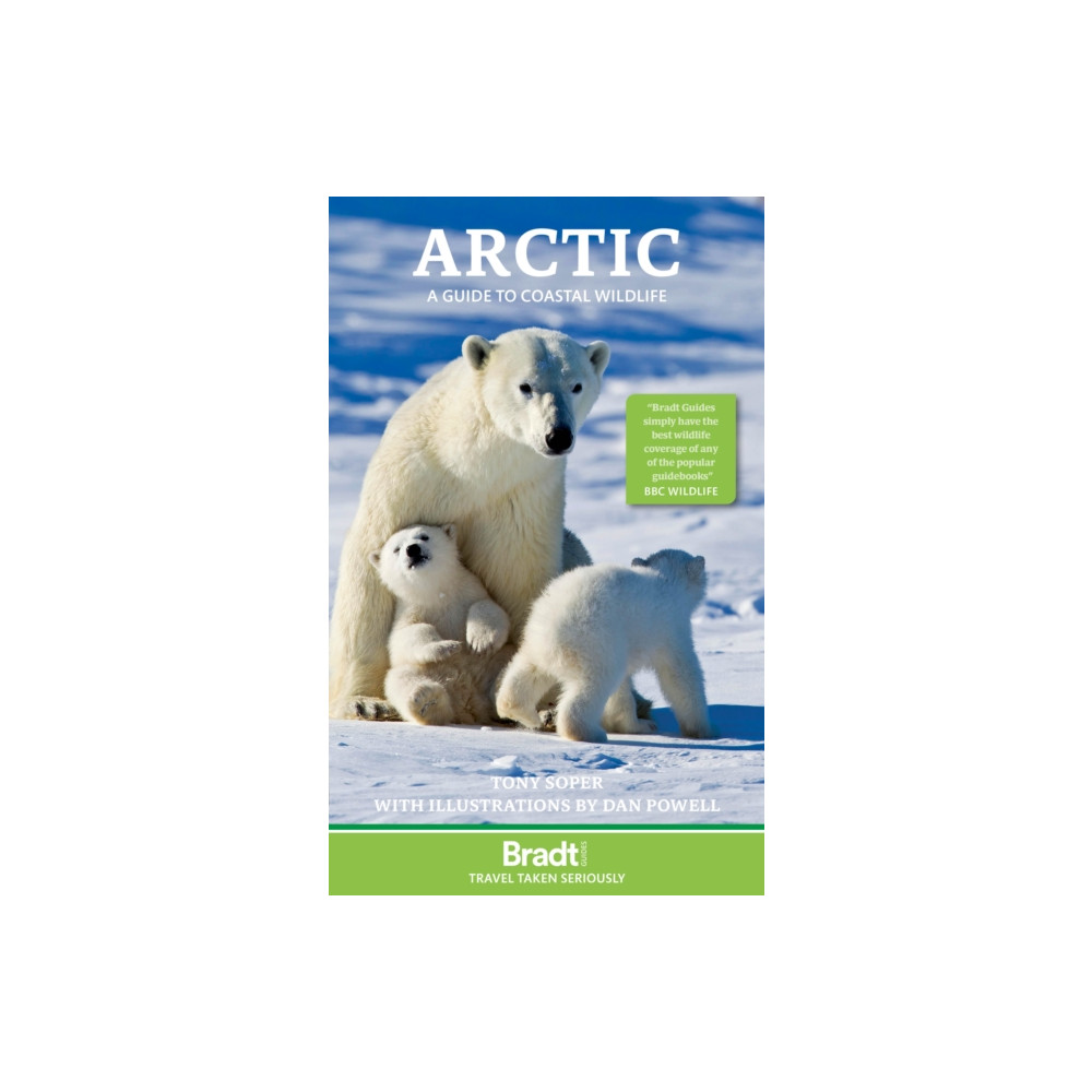 Produktbild för Arctic (häftad, eng)