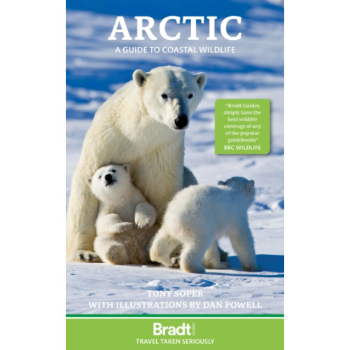 Bradt Travel Guides Arctic (häftad, eng)