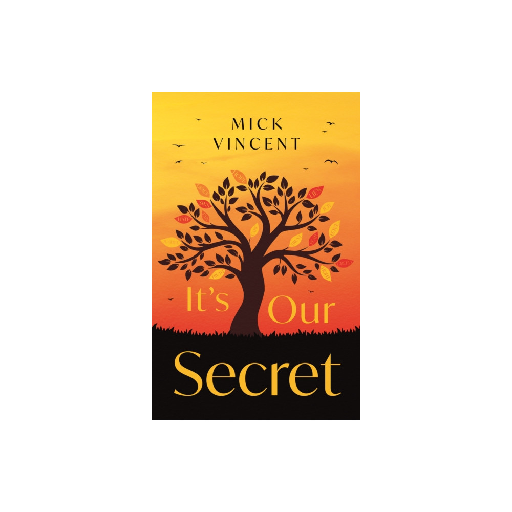Produktbild för It's Our Secret (häftad, eng)