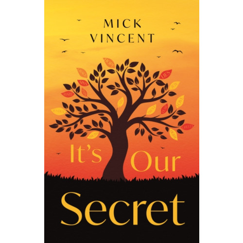 Troubador Publishing It's Our Secret (häftad, eng)