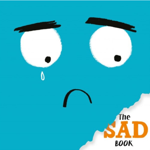 Graffeg Limited The Sad Book (häftad, eng)