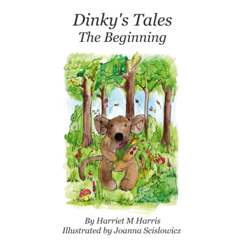 Troubador Publishing Dinky's Tales: The Beginning (inbunden, eng)