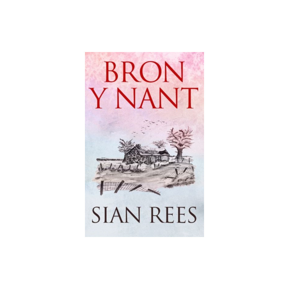 Produktbild för Bron y Nant (häftad, wel)