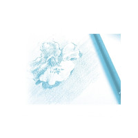Produktbild för Clairefontaine skissblock A2