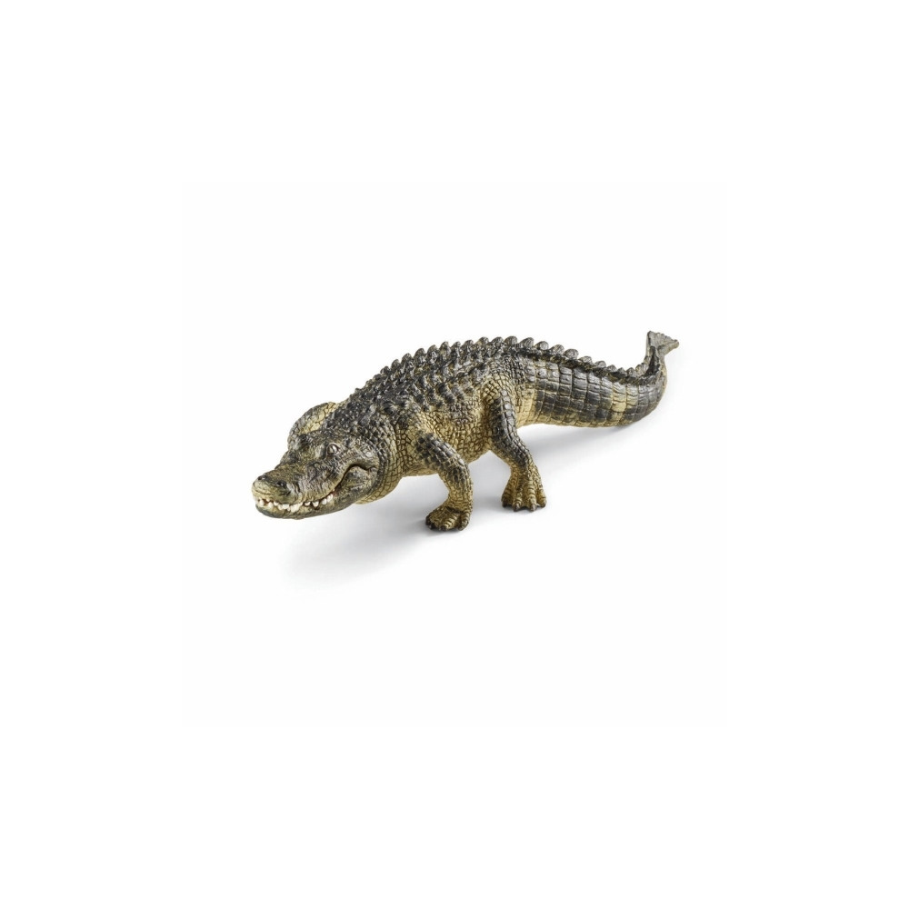 Produktbild för Schleich World of Nature: Wild Life - Krokodil
