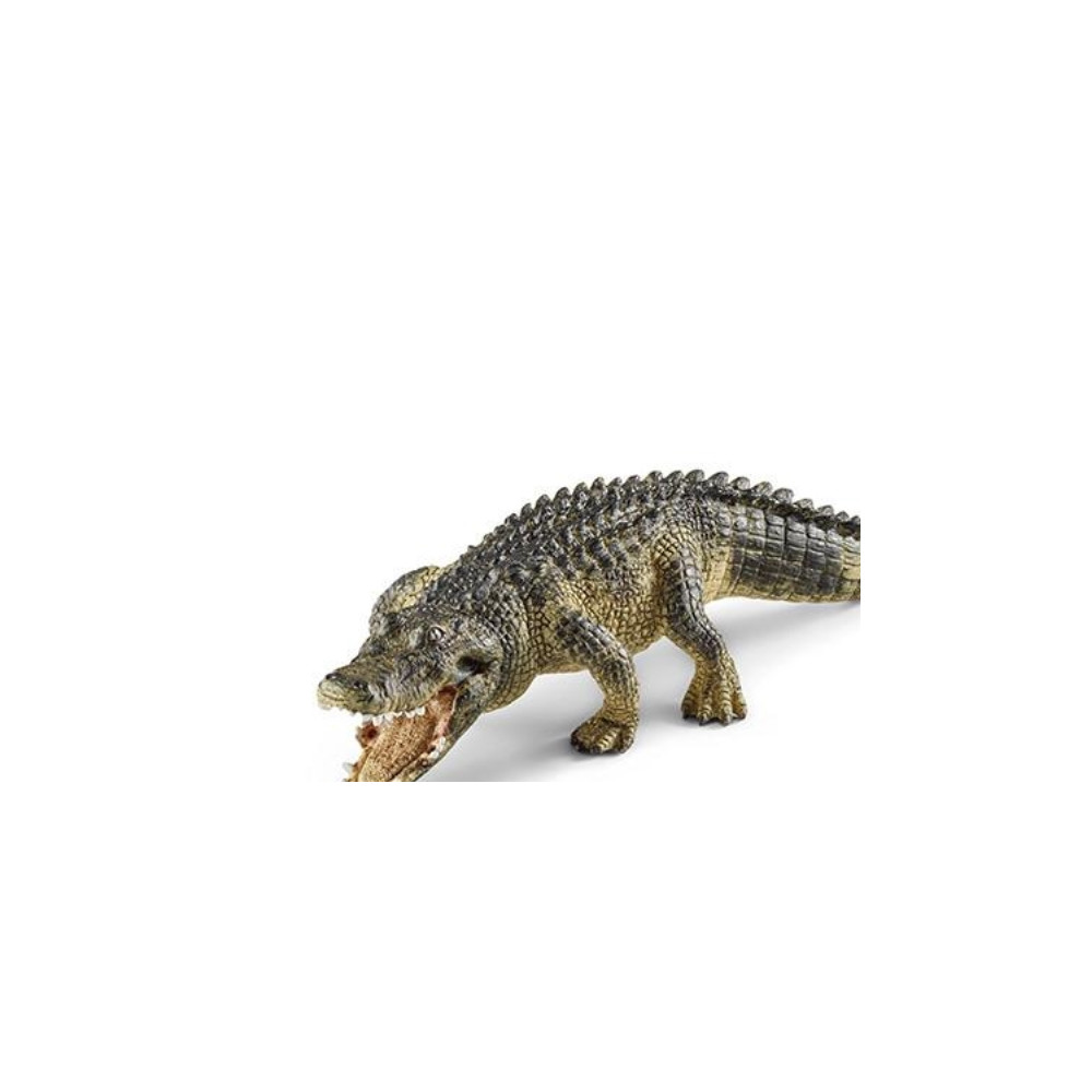 Produktbild för Schleich World of Nature: Wild Life - Krokodil