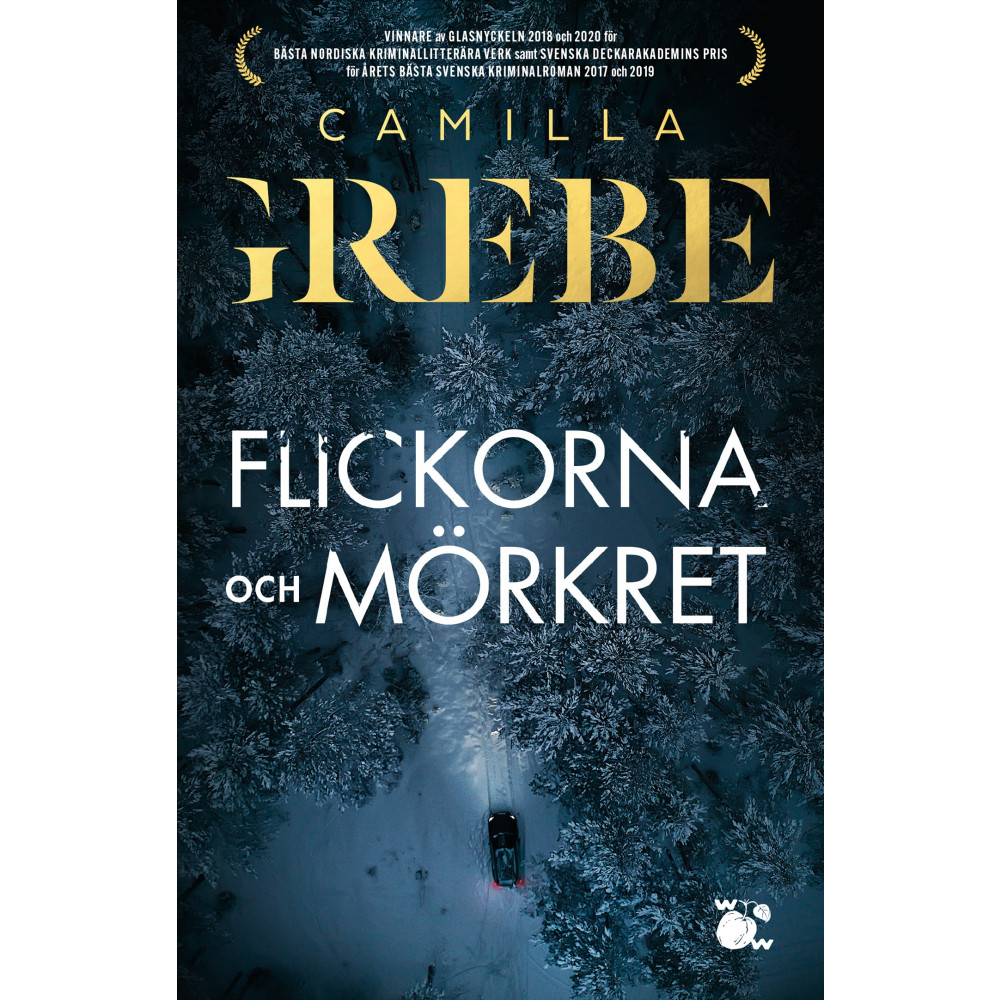 Produktbild för Flickorna och Mörkret (pocket)