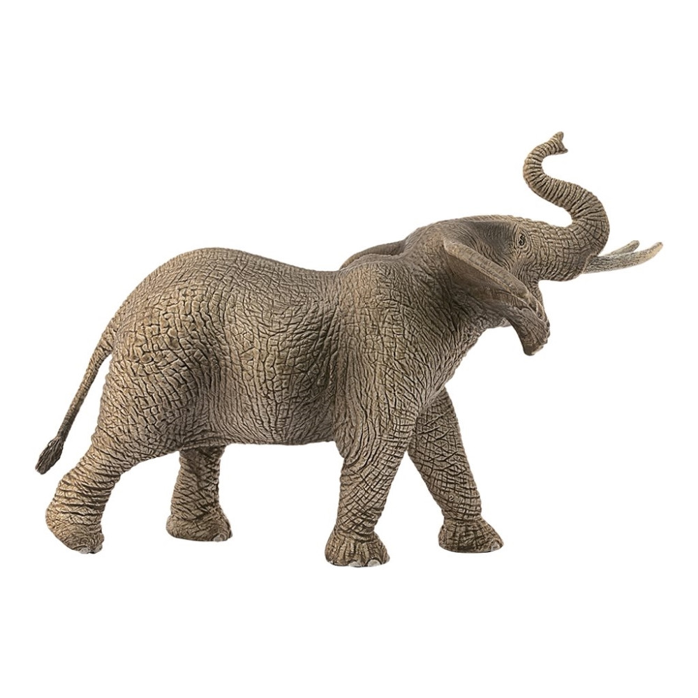 Produktbild för Schleich Wild Life - Afrikansk elefant, hane
