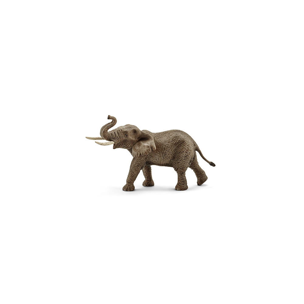 Produktbild för Schleich Wild Life - Afrikansk elefant, hane