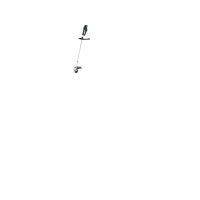 Produktbild för Bosch ACCu GRÆSTRIMMER ADV 33CM 36V SOLO