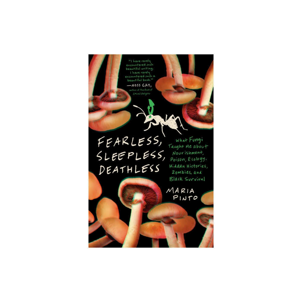 Produktbild för Fearless, Sleepless, Deathless (häftad, eng)