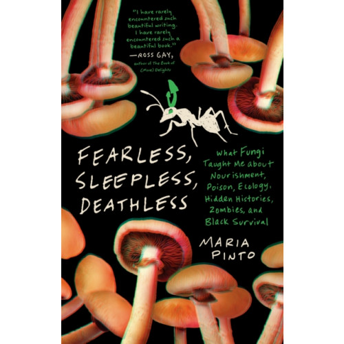 The University of North Carolina Press Fearless, Sleepless, Deathless (häftad, eng)