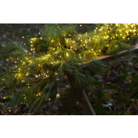 Produktbild för Sirius Knirke Ljuskedja 500 LED