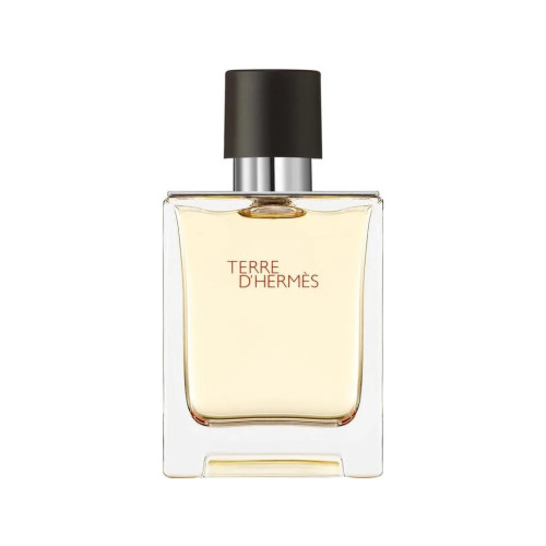 Hermes Hermes Terre D'Hermes Edt Spray