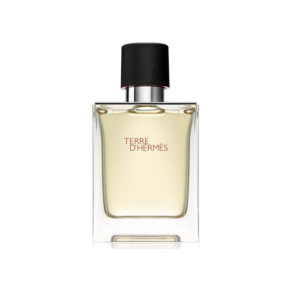 Produktbild för Hermes Terre D'Hermes Edt Spray