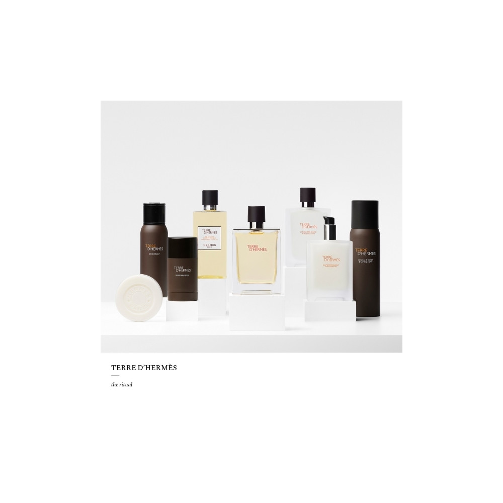 Produktbild för Hermes Terre D'Hermes Edt Spray