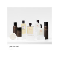 Produktbild för Hermes Terre D'Hermes Edt Spray