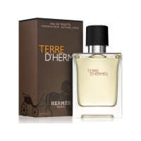 Produktbild för Hermes Terre D'Hermes Edt Spray