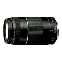 Produktbild för Canon EF telezoomobjektiv - 75 mm - 300 mm