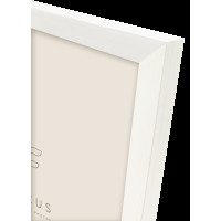 Produktbild för Focus Willow White 50x70 Acrylic Glass