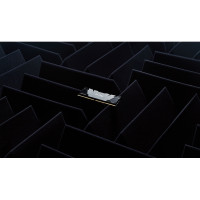 Produktbild för Kingston FURY Renegade - DDR4 - modul - 16 GB - DIMM 288-pin / PC4-28800 - ej buffrad