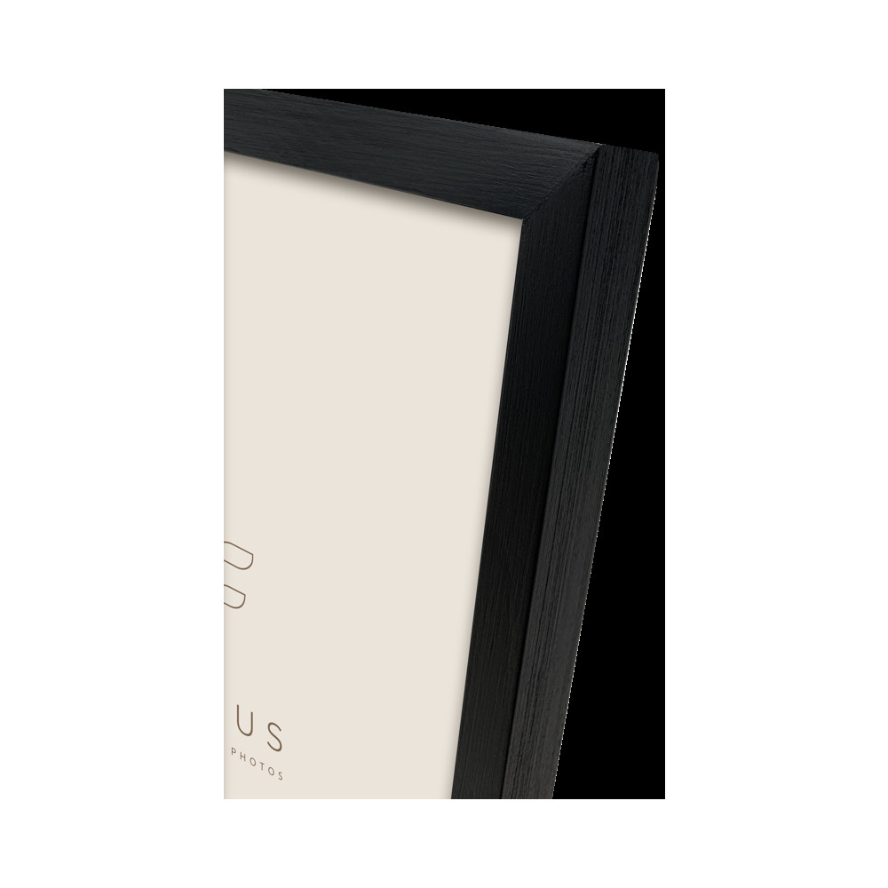 Produktbild för Focus Willow Black 9x12