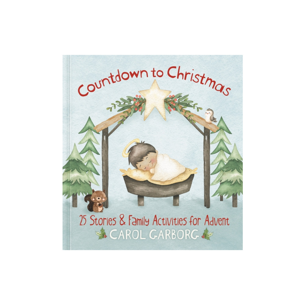 Produktbild för Countdown to Christmas (inbunden, eng)