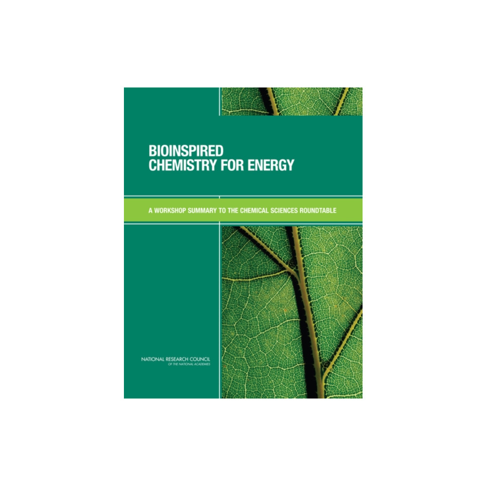 Produktbild för Bioinspired Chemistry for Energy (häftad, eng)