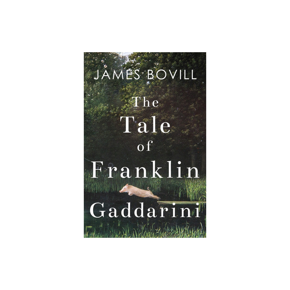 Produktbild för The Tale of Franklin Gaddarini (häftad, eng)