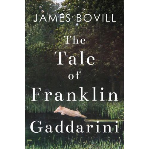 Pegasus Elliot Mackenzie Publishers The Tale of Franklin Gaddarini (häftad, eng)