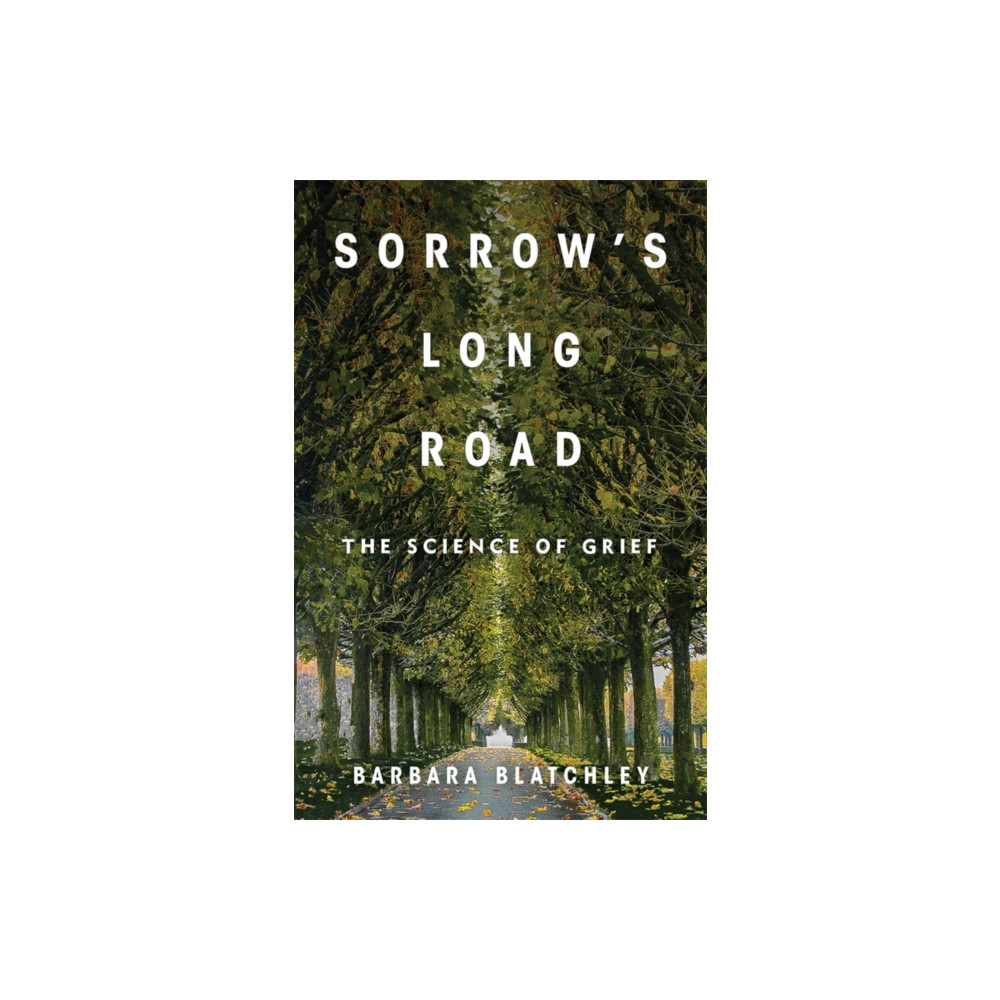 Produktbild för Sorrow's Long Road (häftad, eng)