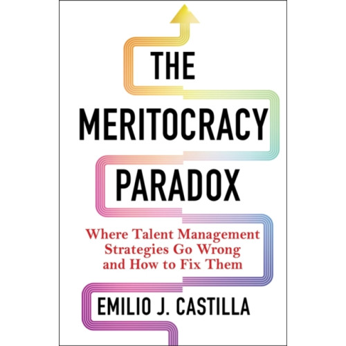Columbia university press The Meritocracy Paradox (inbunden, eng)