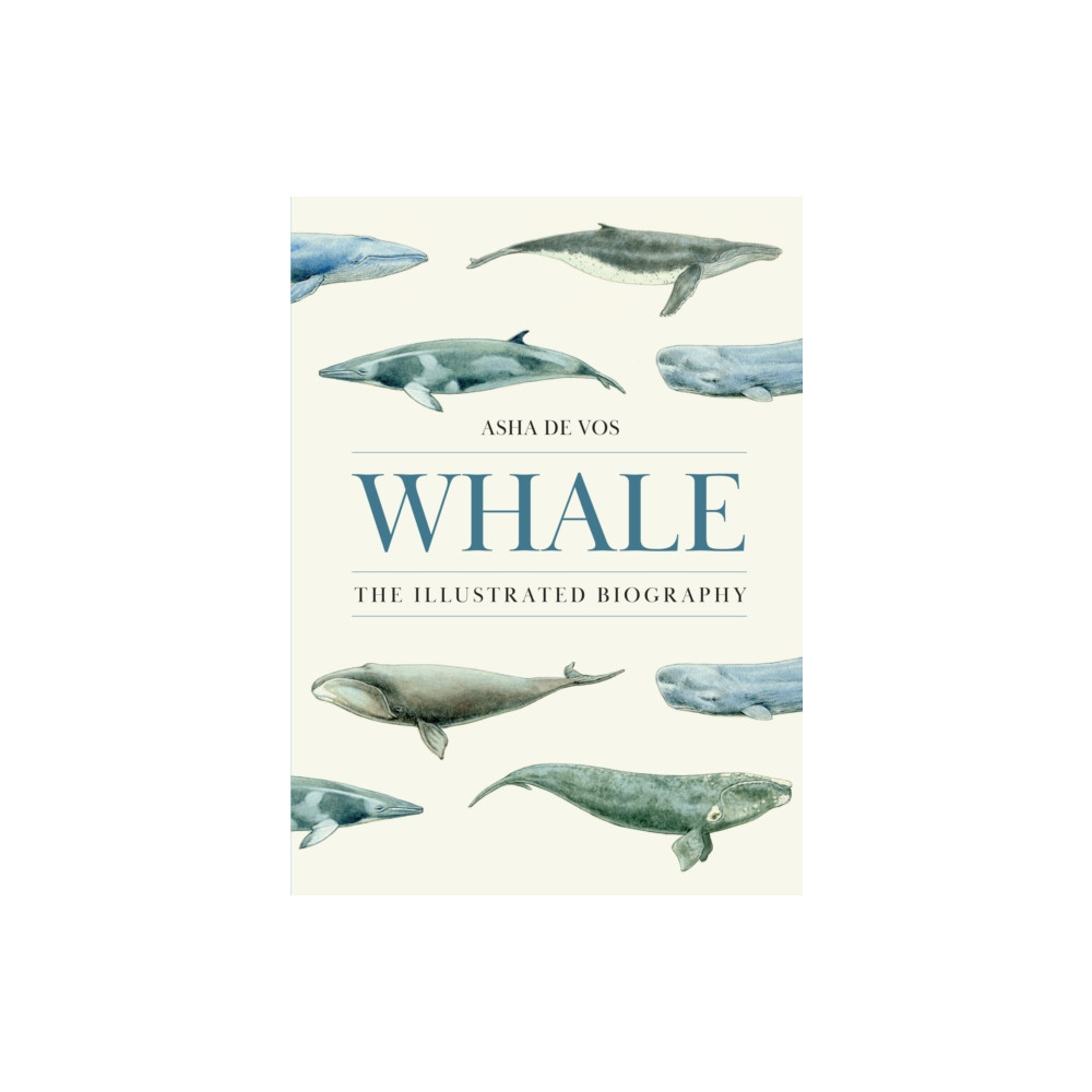 Produktbild för Whale (inbunden, eng)