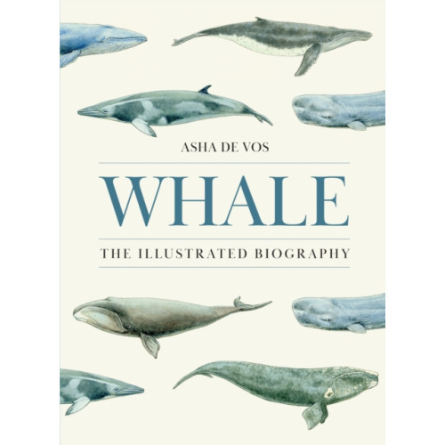 Princeton University Press Whale (inbunden, eng)