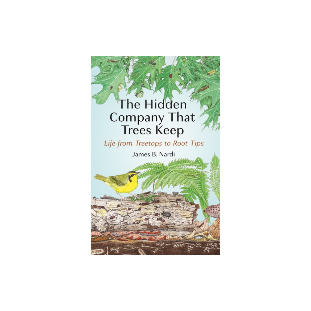 Produktbild för The Hidden Company That Trees Keep (häftad, eng)