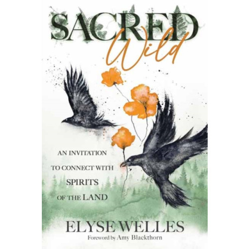 Llewellyn Publications,U.S. Sacred Wild (häftad, eng)