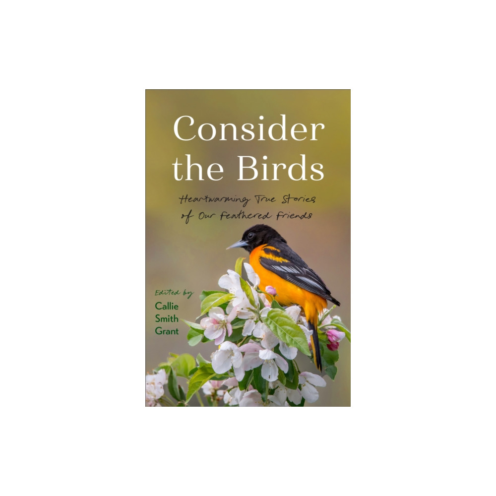 Produktbild för Consider the Birds (häftad, eng)