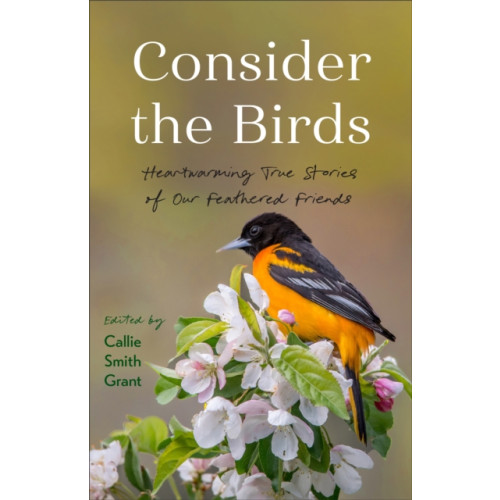 Baker publishing group Consider the Birds (häftad, eng)