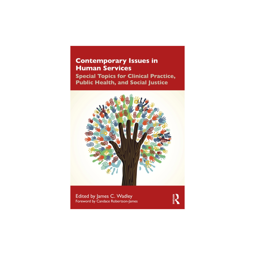 Produktbild för Contemporary Issues in Human Services (häftad, eng)
