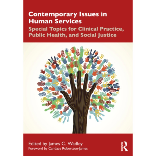 Taylor & francis ltd Contemporary Issues in Human Services (häftad, eng)